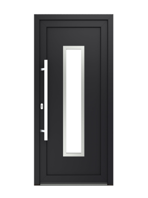 Tür montana inox 1